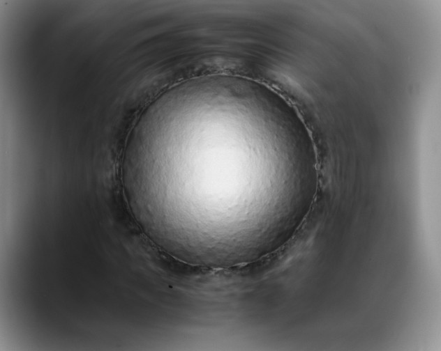 X0000088700917200706141427