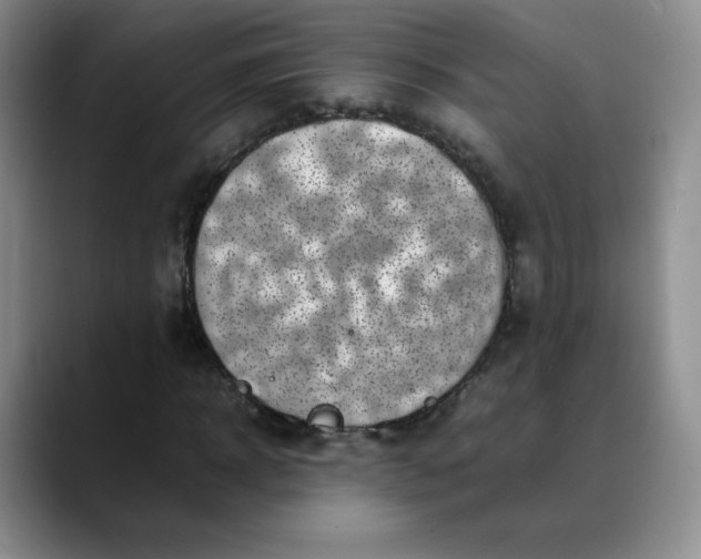 X0000088700918200706141427