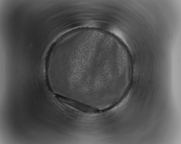 X0000088700923200706141427