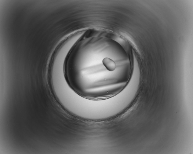 X0000088700924200706141427