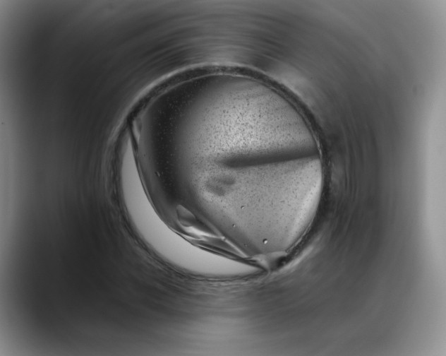 X0000088700926200706141427