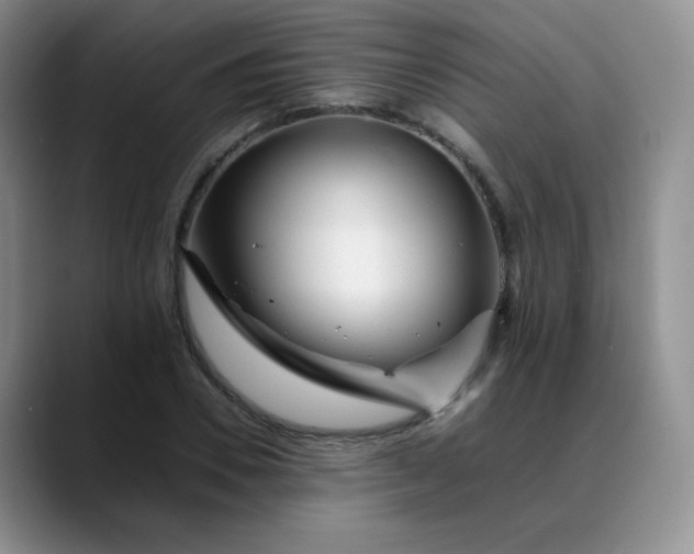 X0000088700930200706141427