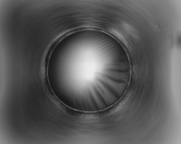 X0000088700931200706141427