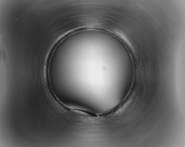 X0000088700932200706141427