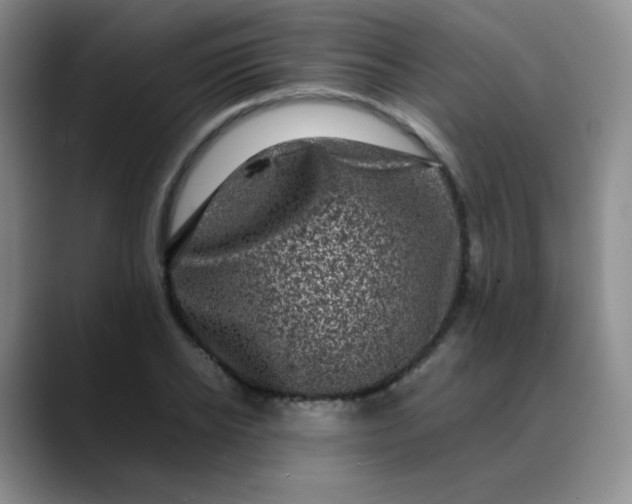 X0000088700934200706141427