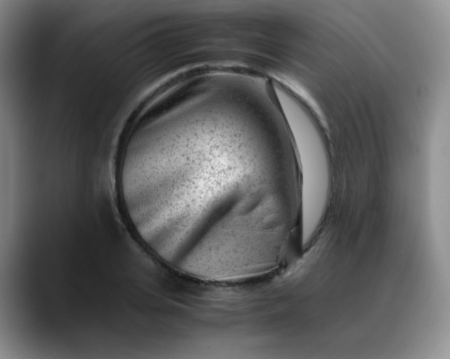 X0000088700935200706141427