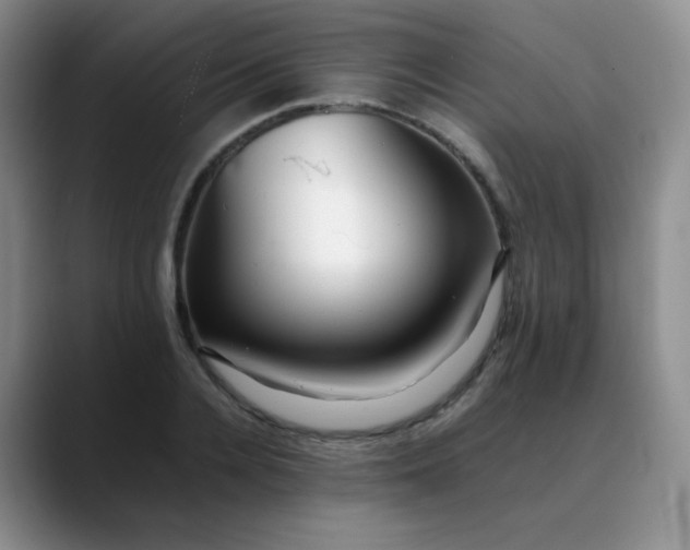 X0000088700936200706141427