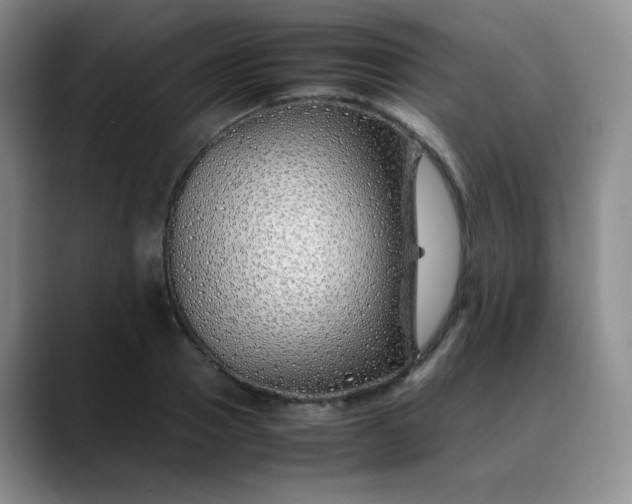 X0000088700937200706141427