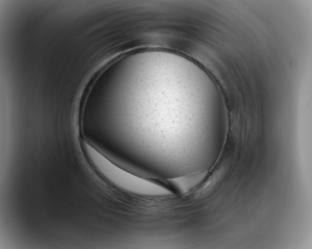 X0000088700939200706141427