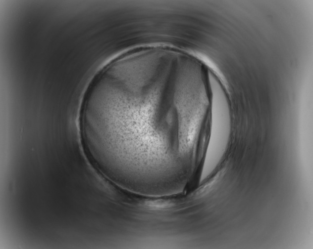 X0000088700943200706141428