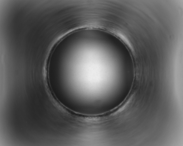 X0000088700944200706141428