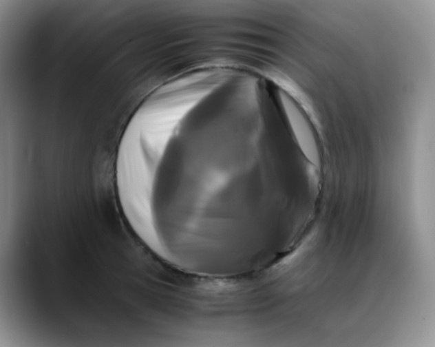 X0000088700945200706141428
