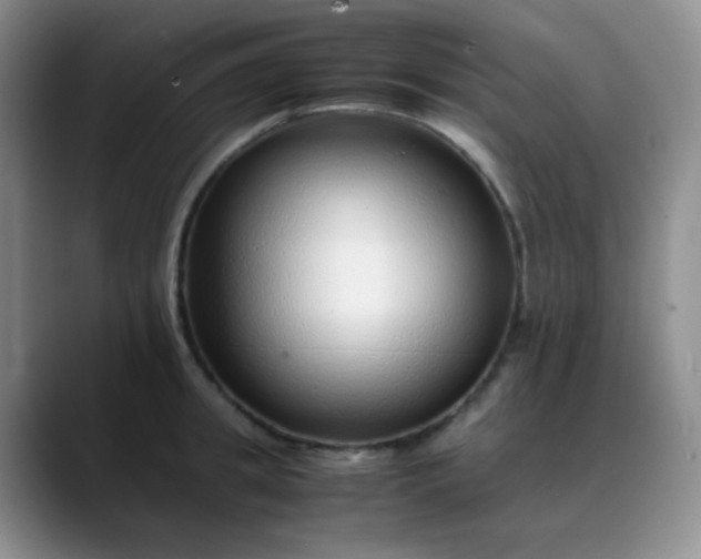 X0000088700949200706141428