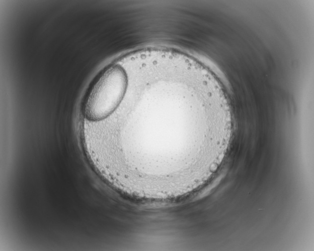 X0000088700950200706141428