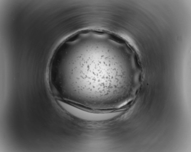 X0000088700952200706141428
