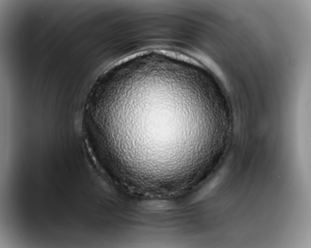 X0000088700953200706141428