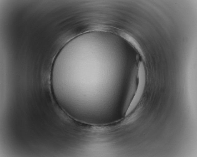 X0000088700954200706141428