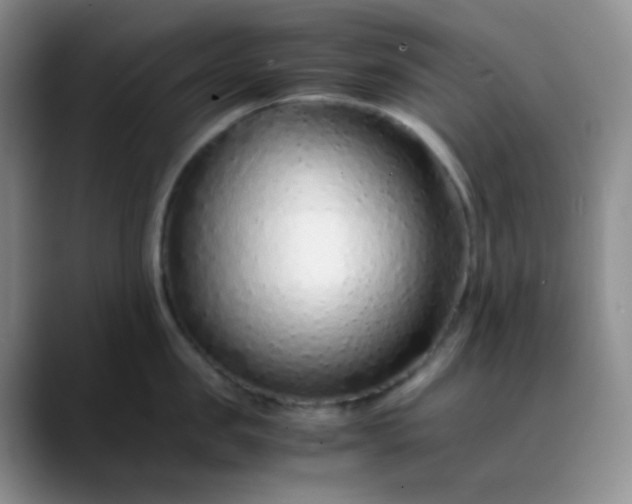 X0000088700957200706141428