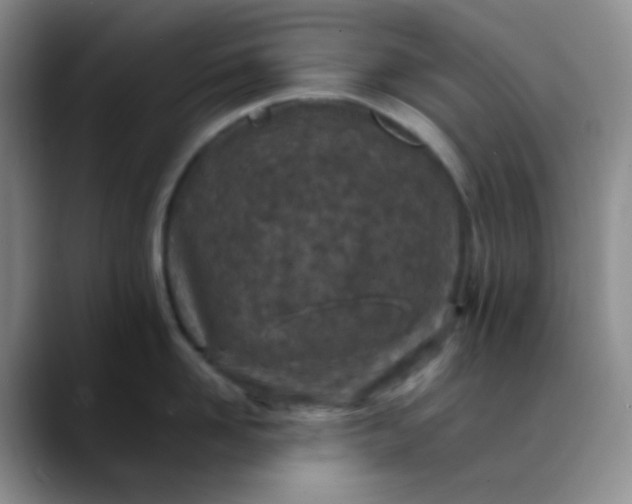 X0000088700958200706141428