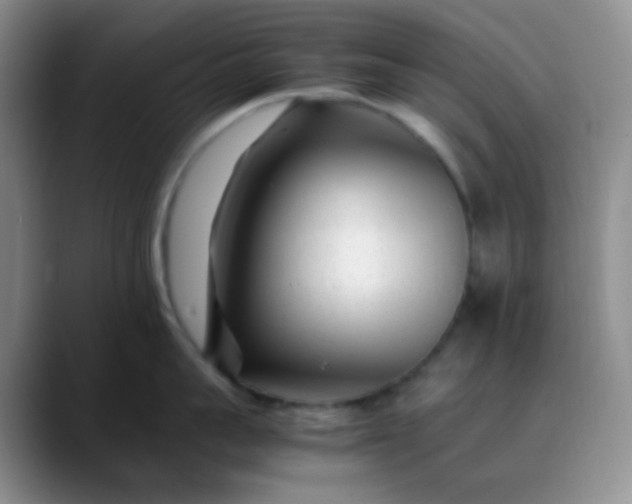 X0000088700959200706141428