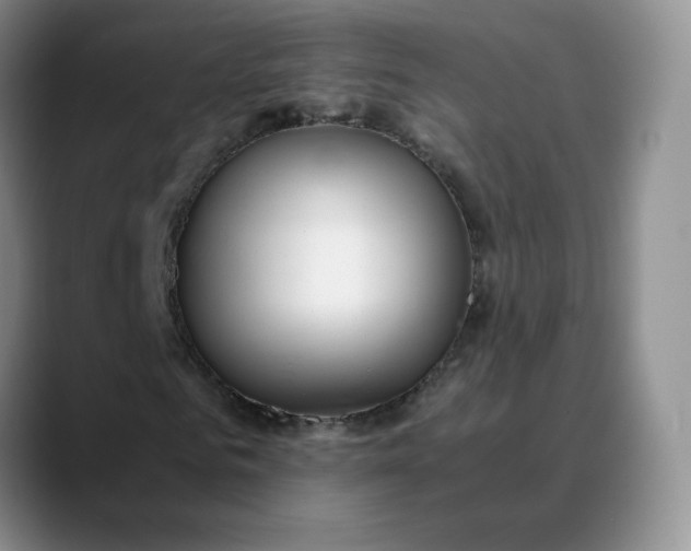 X0000088700961200706141427