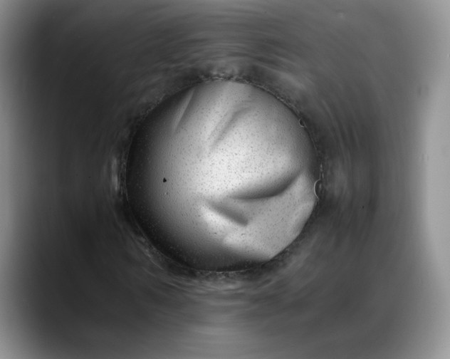 X0000088700962200706141427