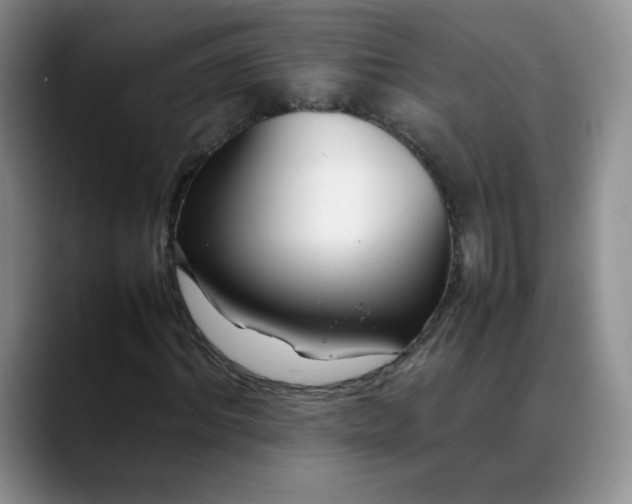 X0000088700964200706141427