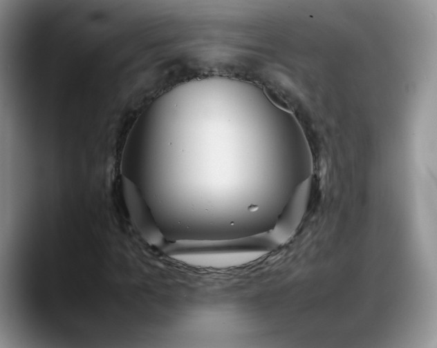 X0000088700965200706141427