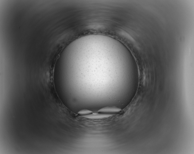 X0000088700966200706141427