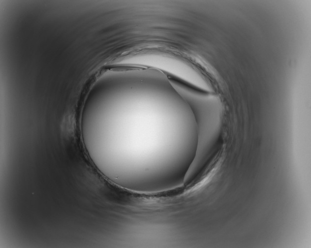 X0000088700969200706141427