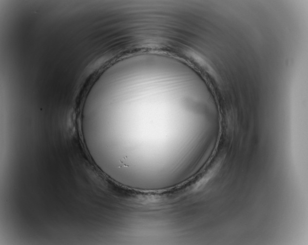 X0000088700970200706141427