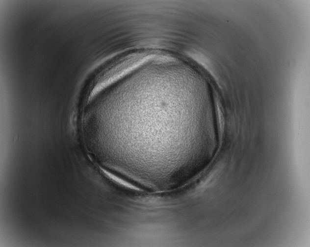 X0000088700971200706141427