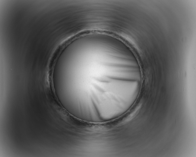 X0000088700974200706141427