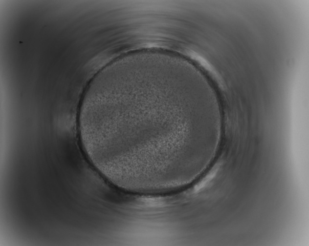 X0000088700977200706141427