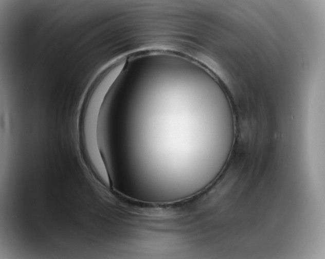 X0000088700980200706141427