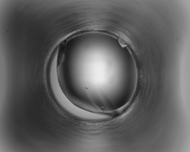 X0000088700981200706141427