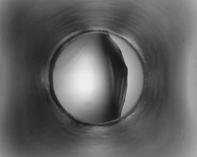 X0000088700984200706141427