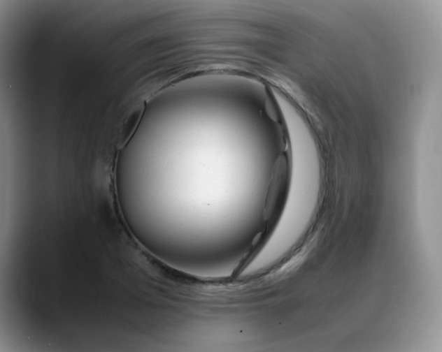 X0000088700985200706141427