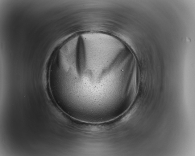 X0000088700987200706141427