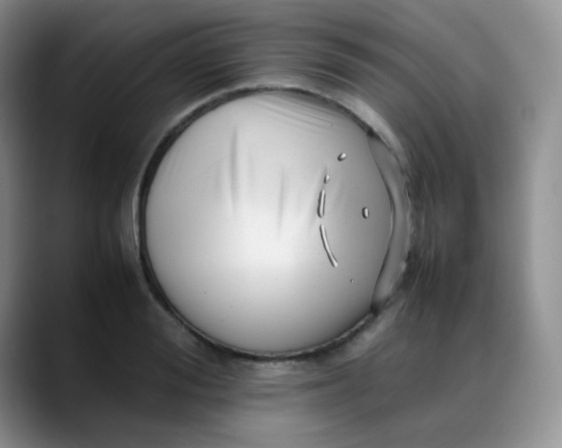 X0000088700988200706141427