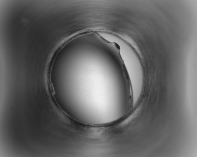 X0000088700989200706141427
