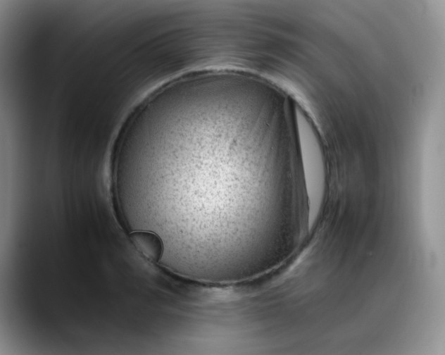 X0000088700990200706141427