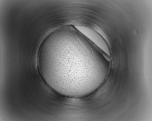 X0000088700994200706141427