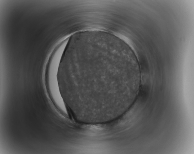X0000088700995200706141427