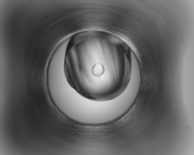 X0000088700996200706141427