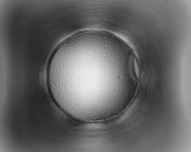 X0000088700998200706141427