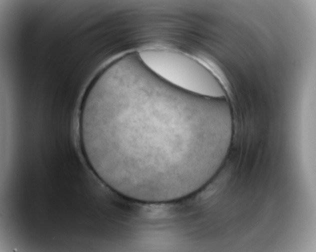 X0000088701000200706141427