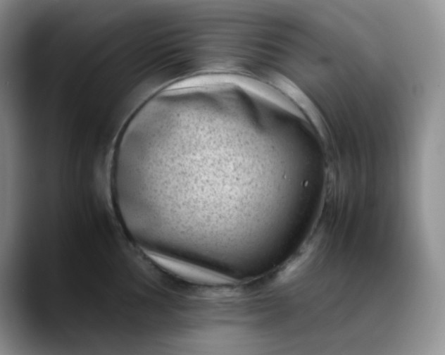 X0000088701002200706141427