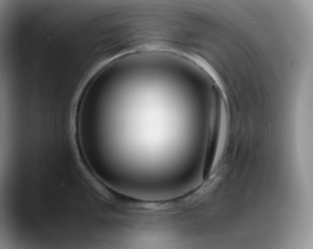 X0000088701005200706141427