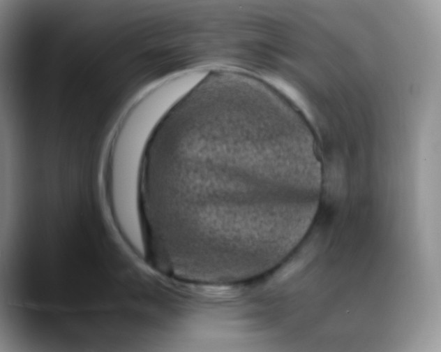 X0000088701007200706141427